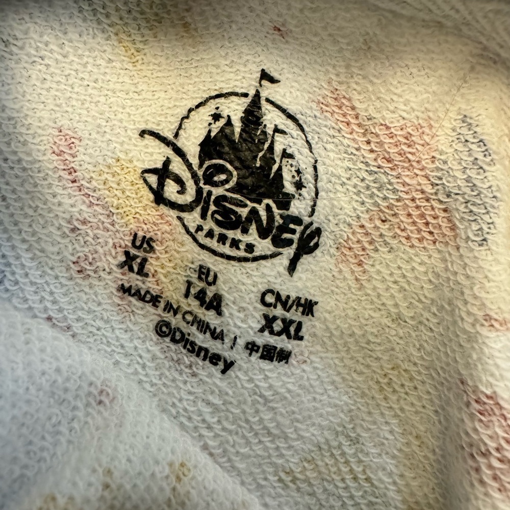 Disney Parks Let’s Celebrate Disneyland Youth XL Hoodie - Picture 3 of 5